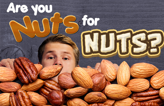 are_you_nuts_for_nuts_featured
